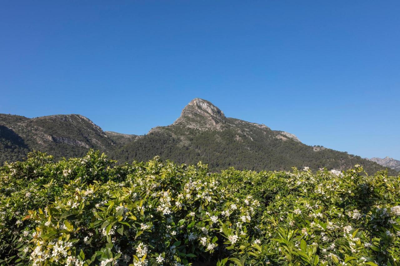 La Solana Βίλα Gandía Εξωτερικό φωτογραφία
